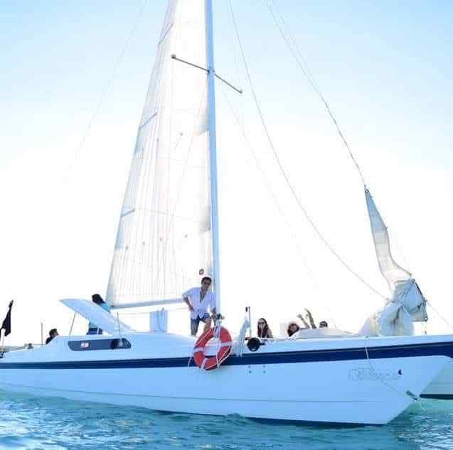 Mc22